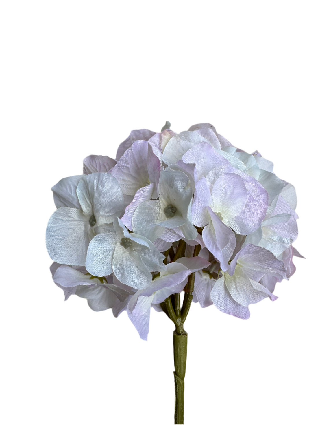 Light lilac hydrangea