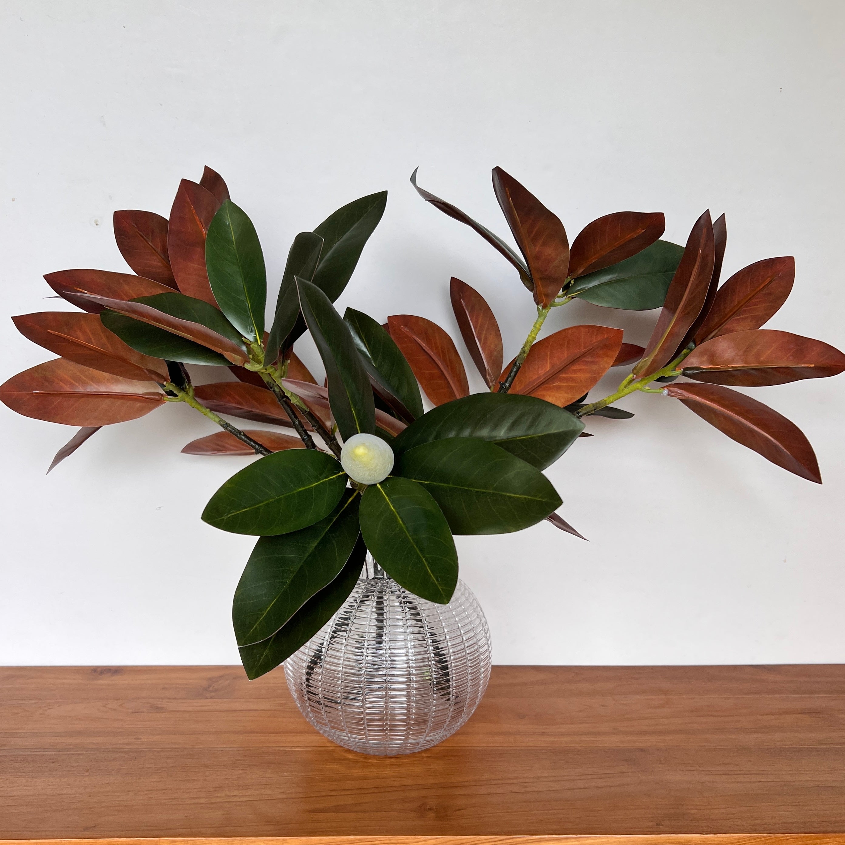 Magnolia arrangement