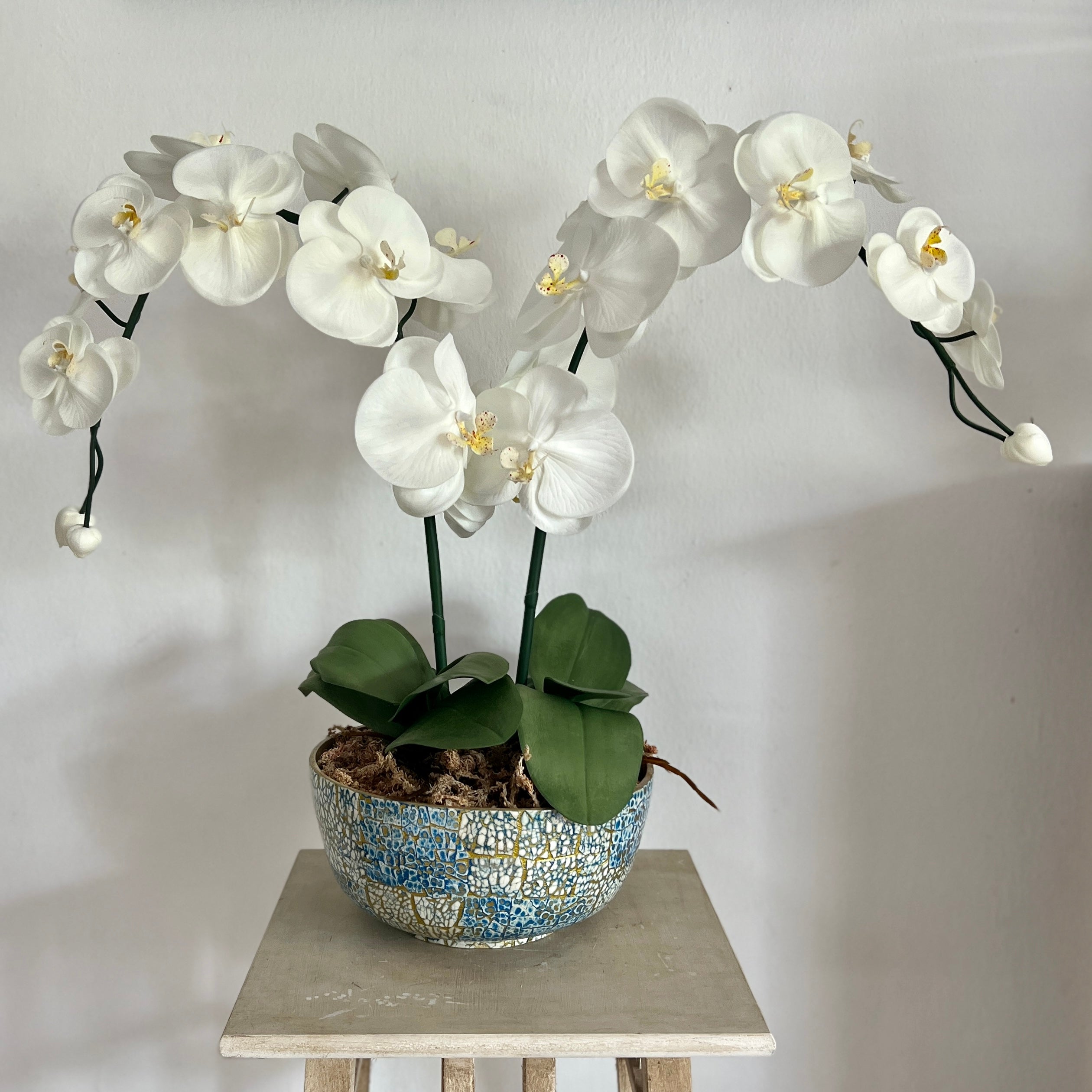 Double orchid in Vietnamese bowl