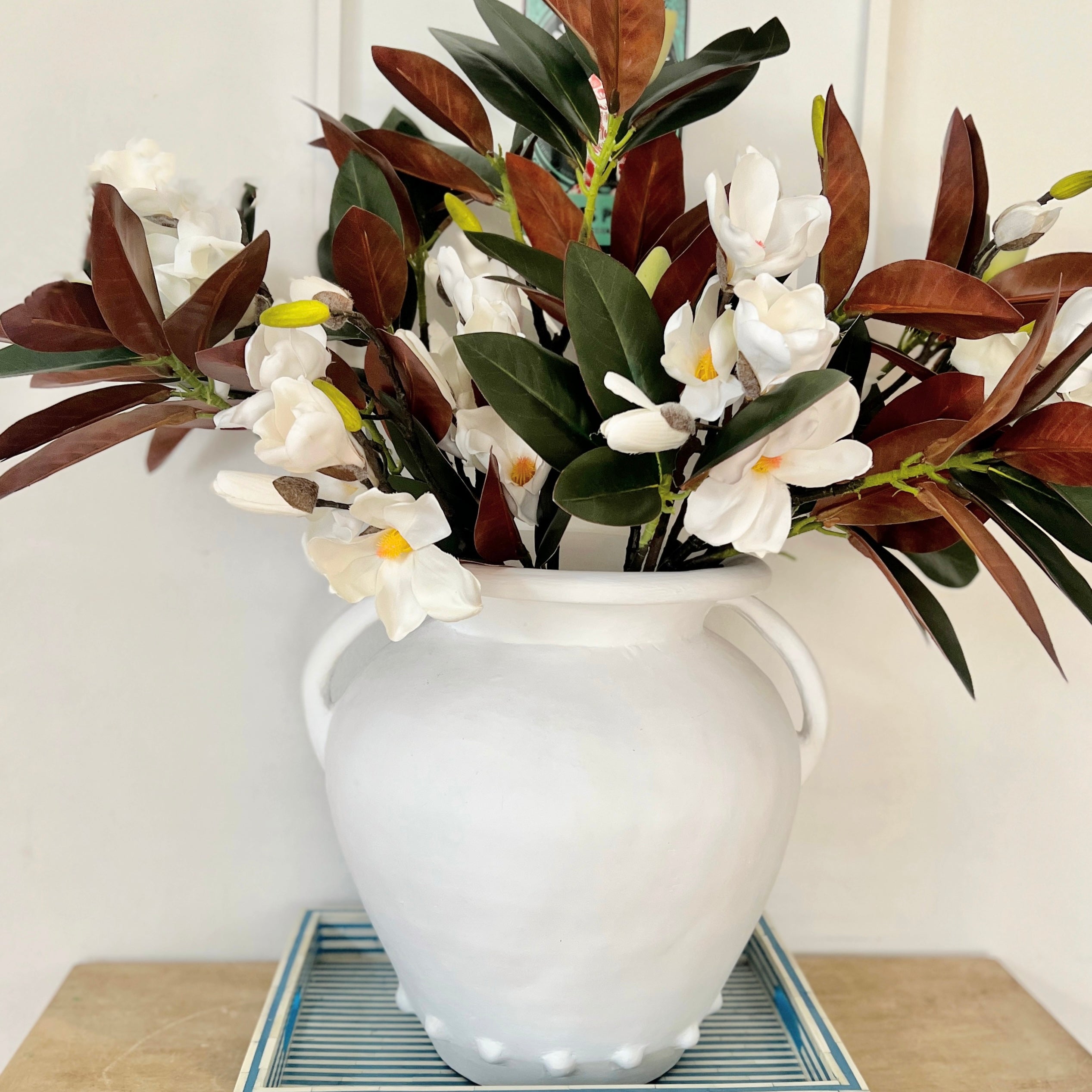 Magnolia flowers