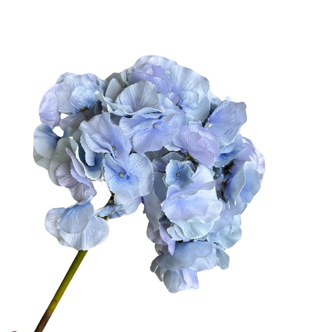 Jumbo hydrangeas