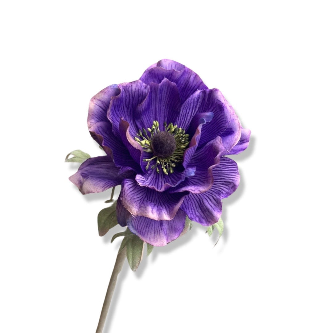 Cosmos