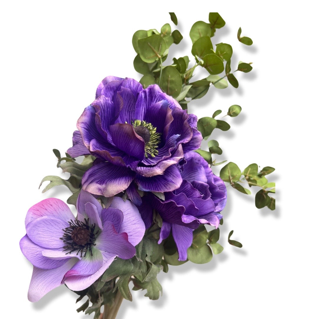Cosmos