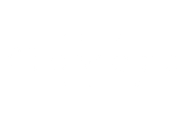 Silk Flowers Singapore