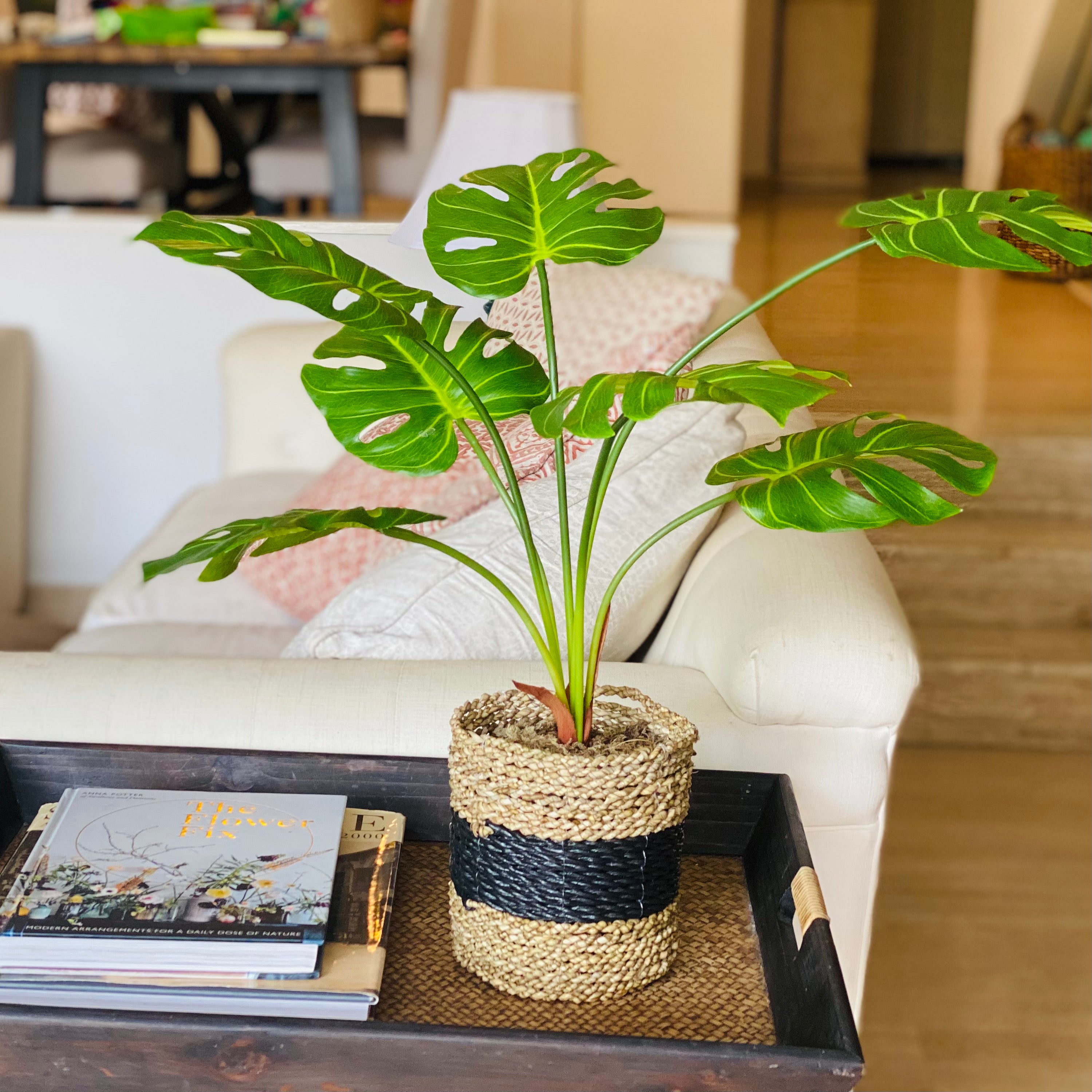 Faux cheese plant in a Basket