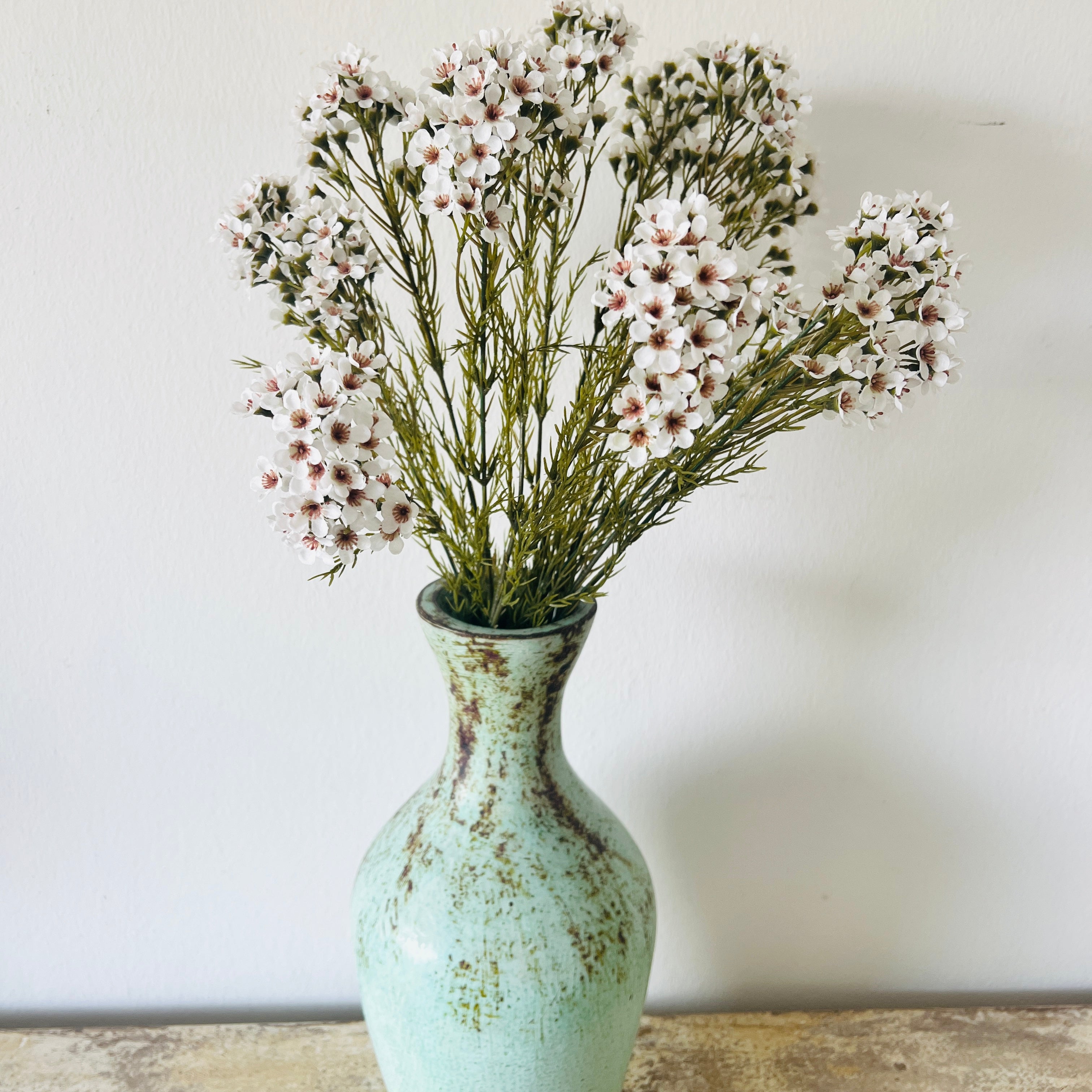 waxflower