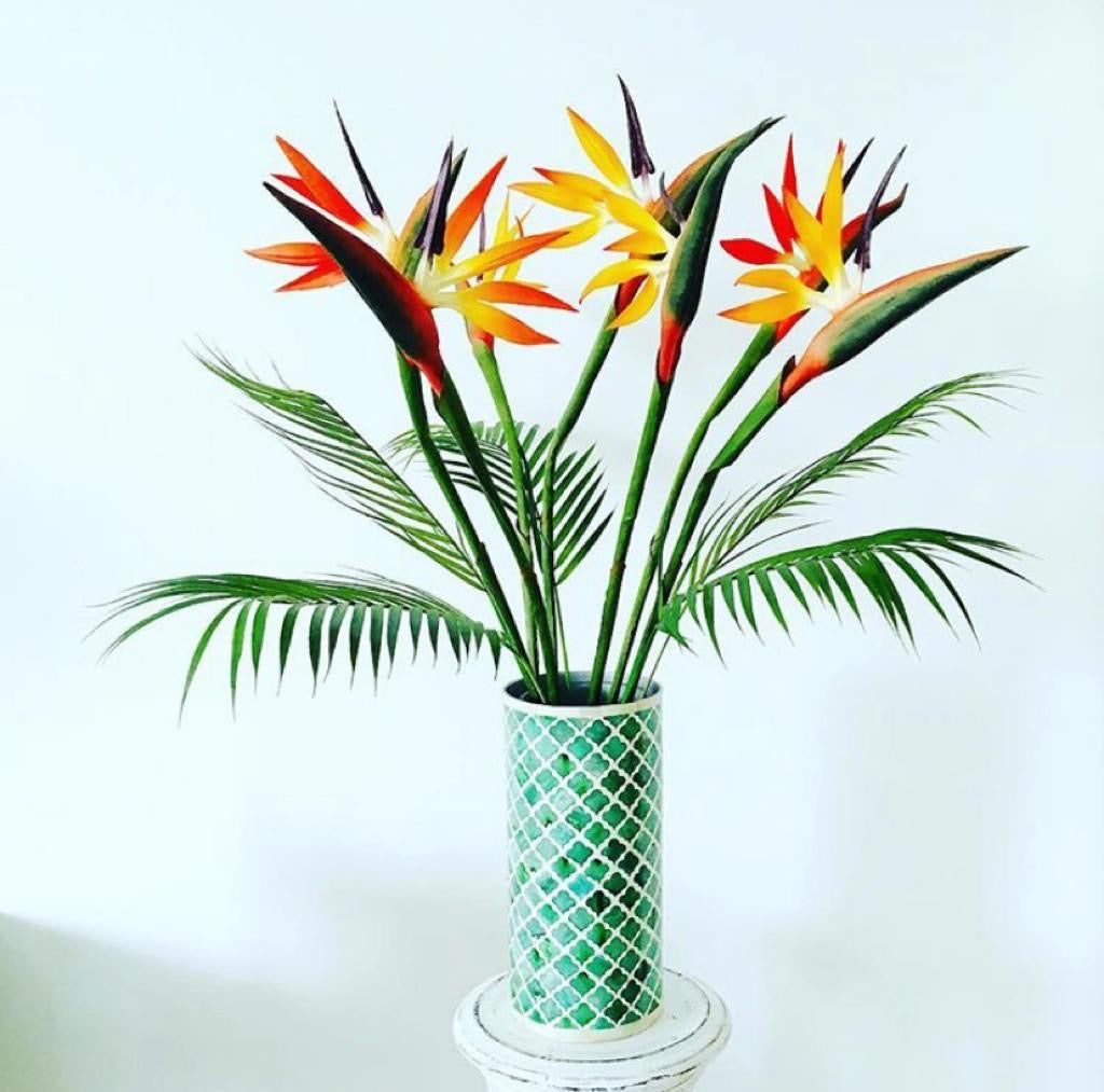 Artifical Birds of Paradise