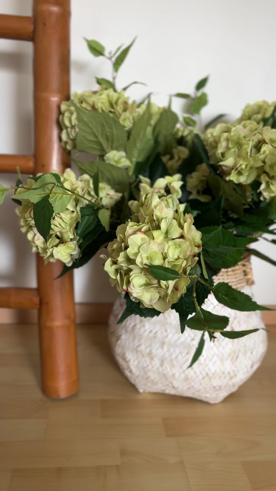 Double Headed Hydrangea