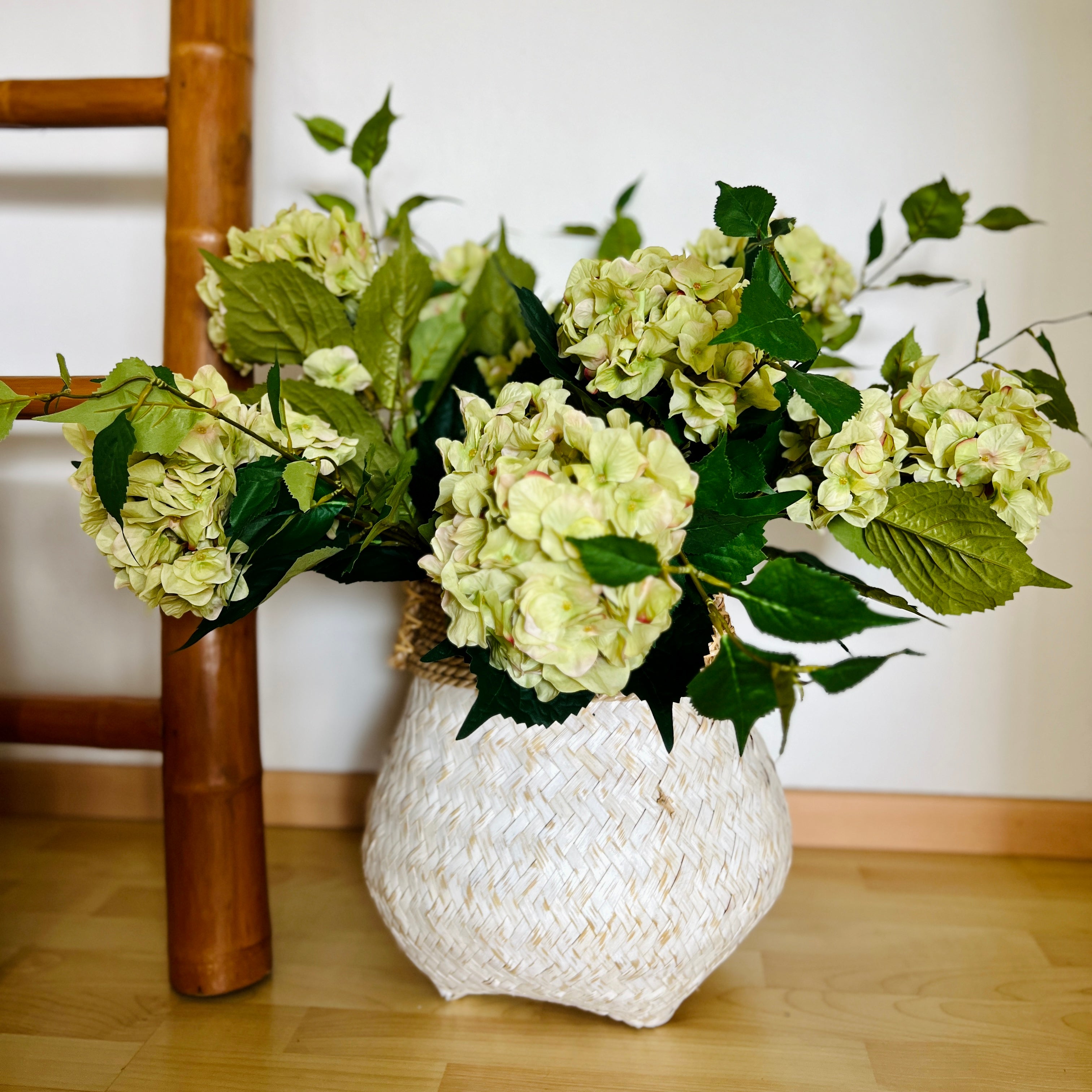 Double Headed Hydrangea - Green Rose