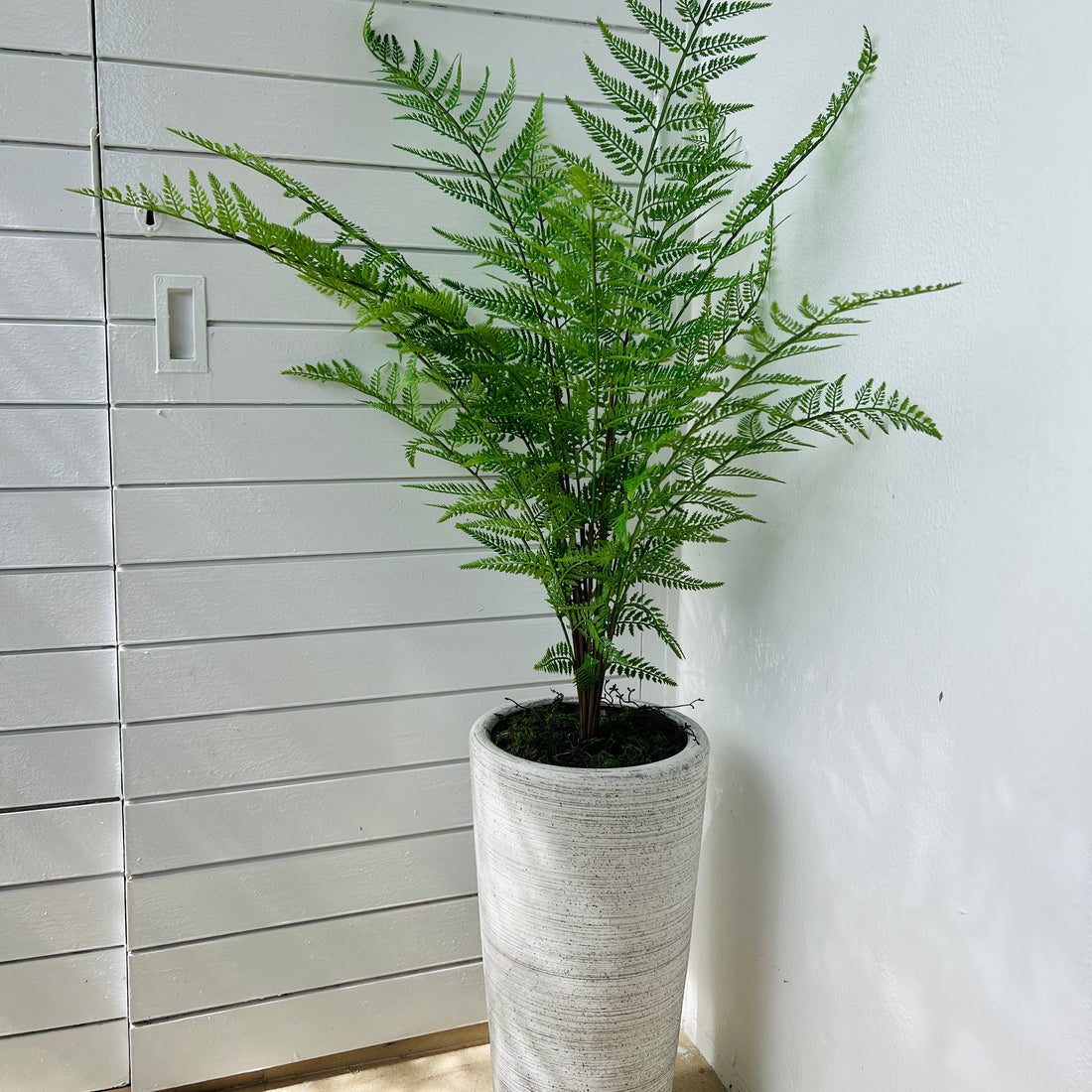 Potted faux fern