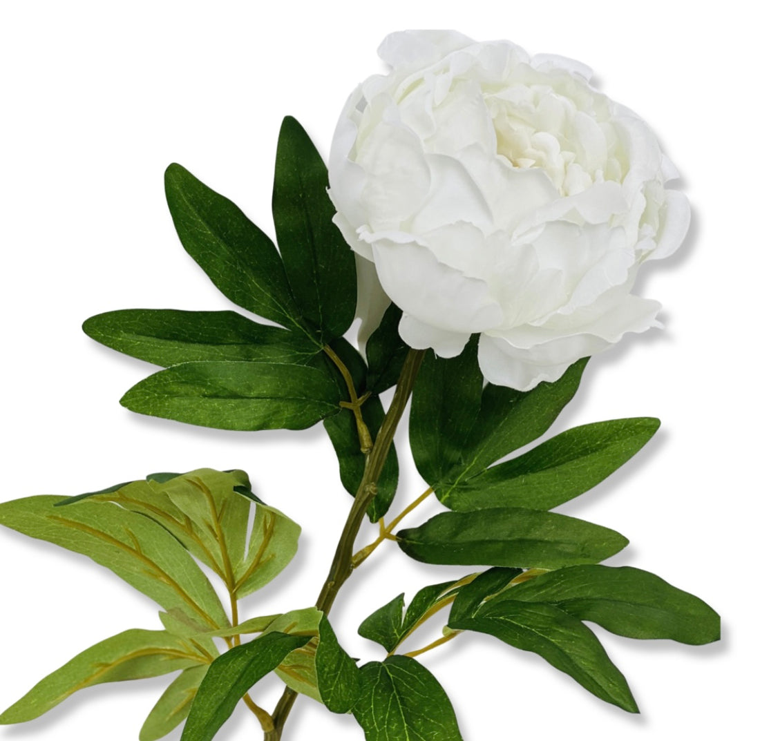 Juliette arrangement