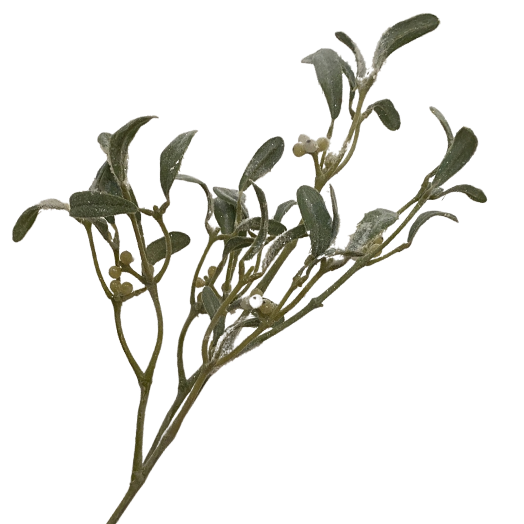 Frosted Mistletoe