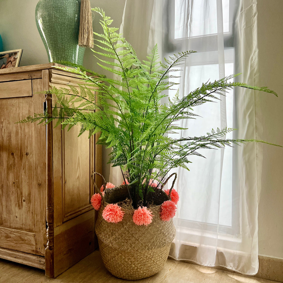 Potted fern in basket