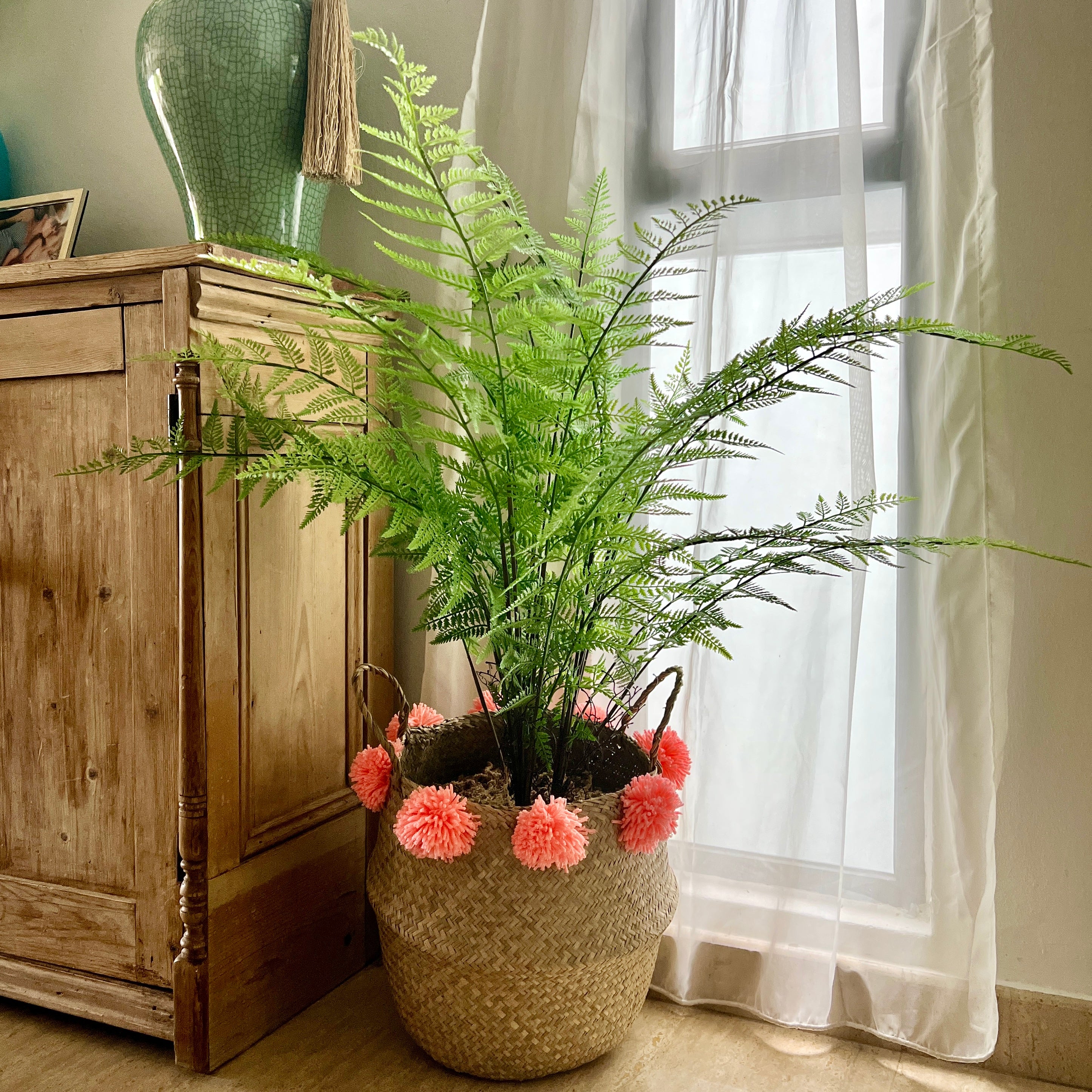 Potted fern in basket