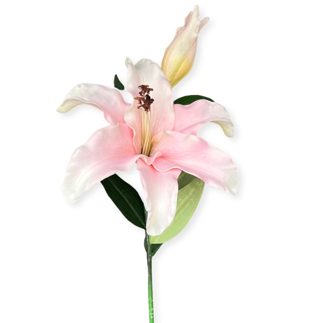 Casablanca lily - Pink