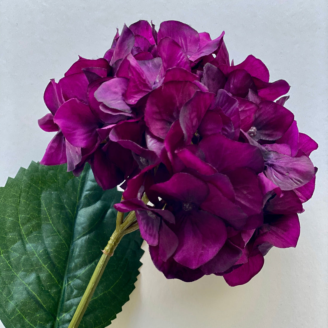 Penelope arrangement