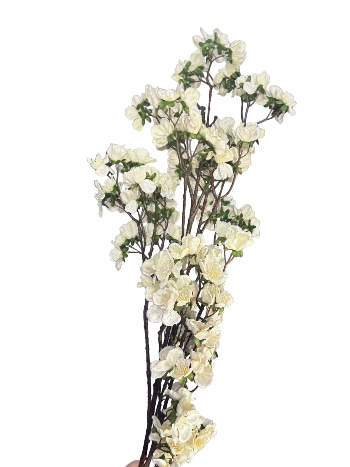 Long blossom stems