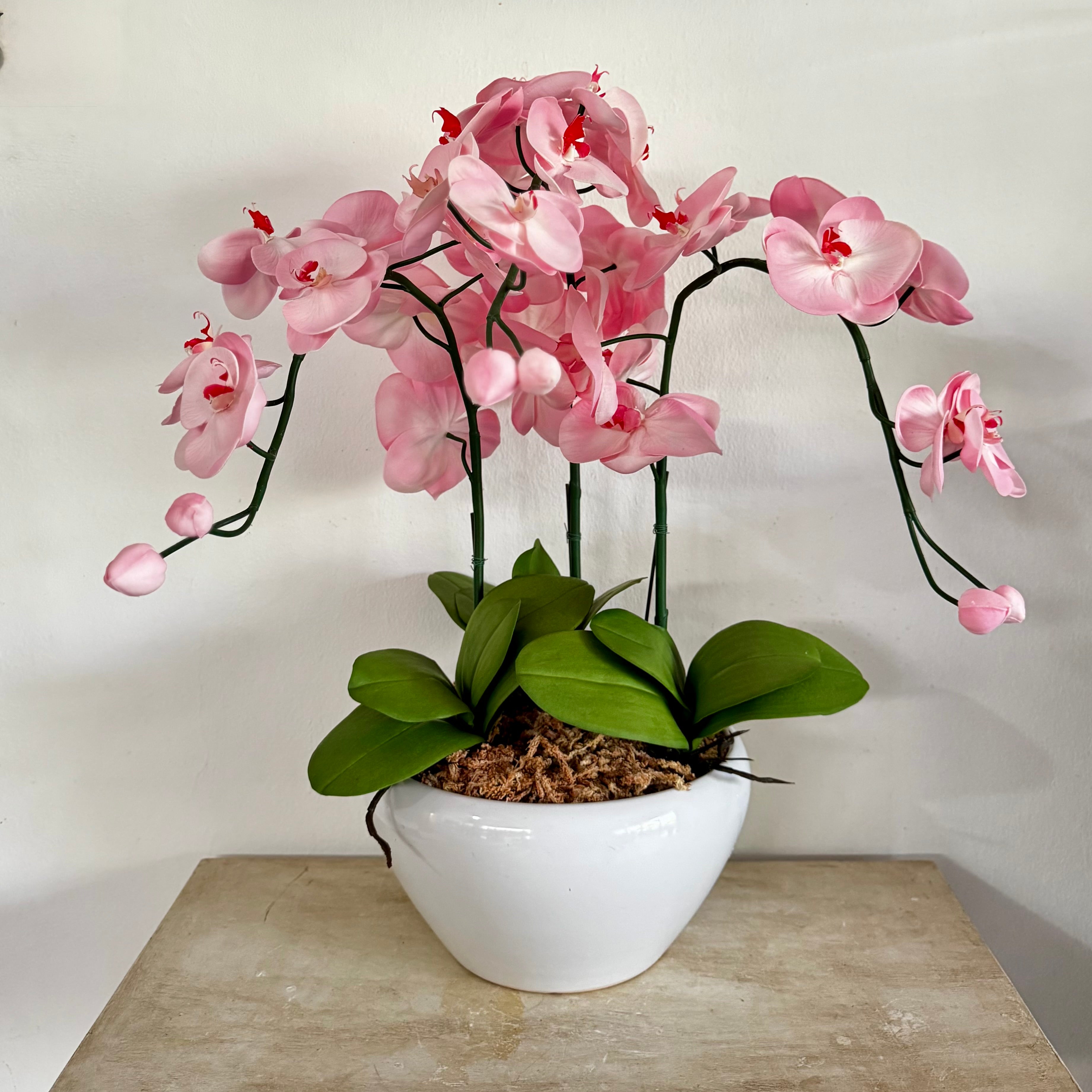 Light Pink Orchid - 3 stem arrangement