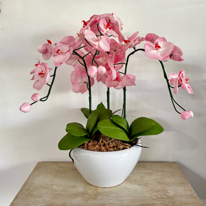 Light Pink Orchid - 3 stem arrangement