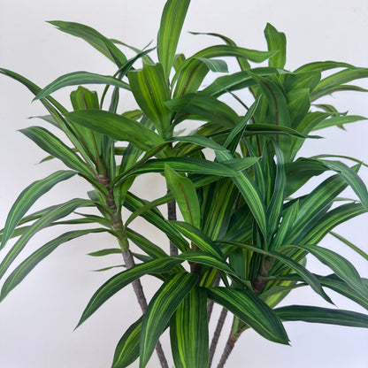 Verna arrangement