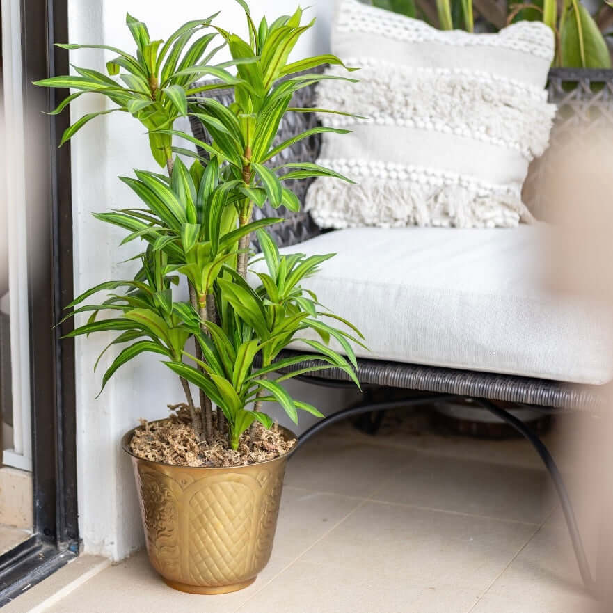 Artificial plant in brass pot