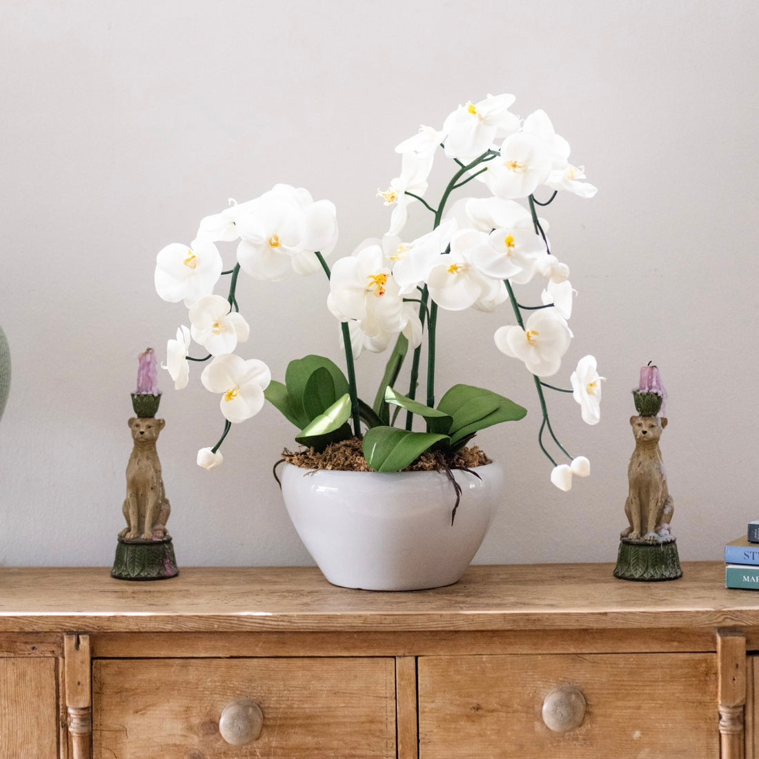 White &amp; Yellow Orchid - 3 stem arrangement