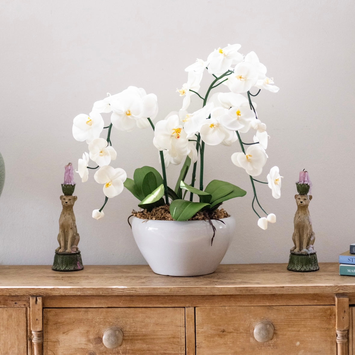 White &amp; Yellow Orchid - 3 stem arrangement