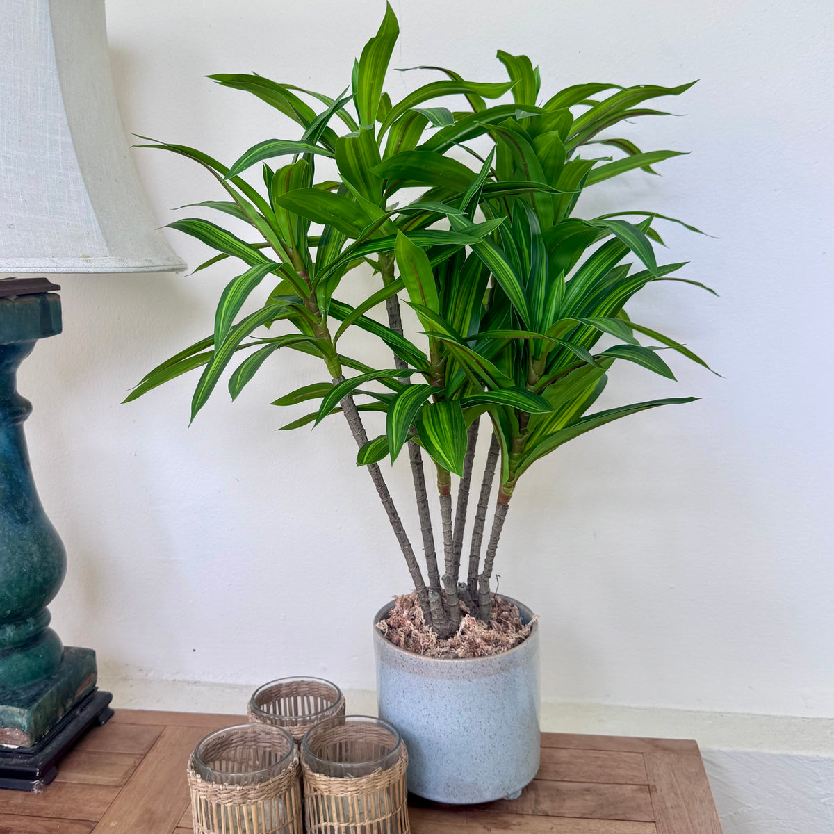 Verna arrangement