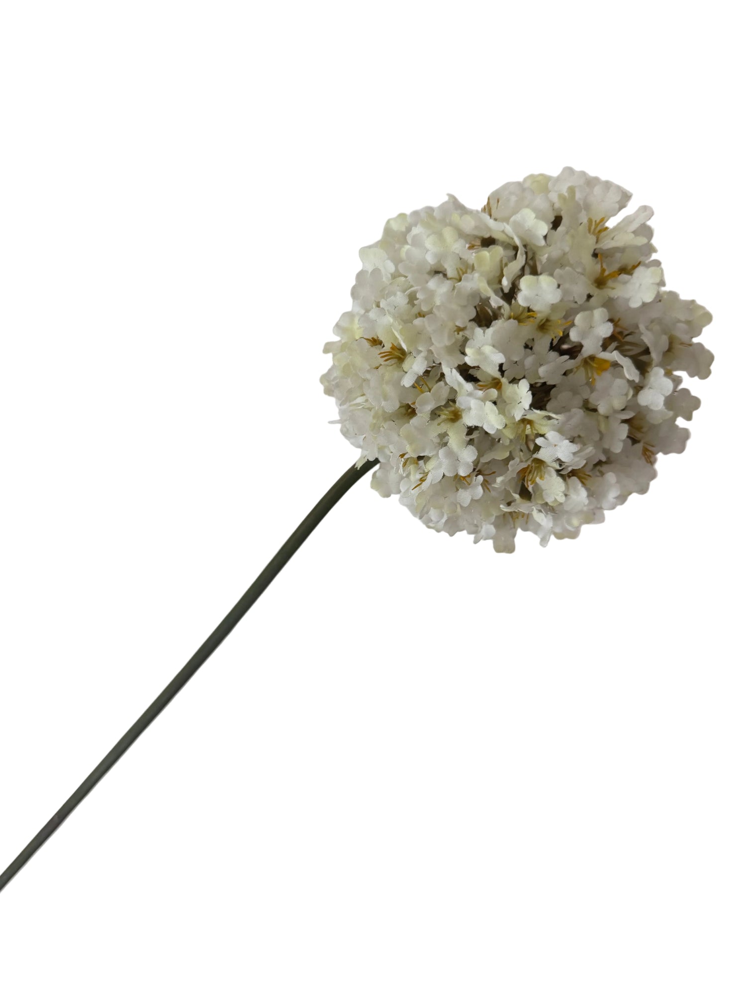 Cream flower