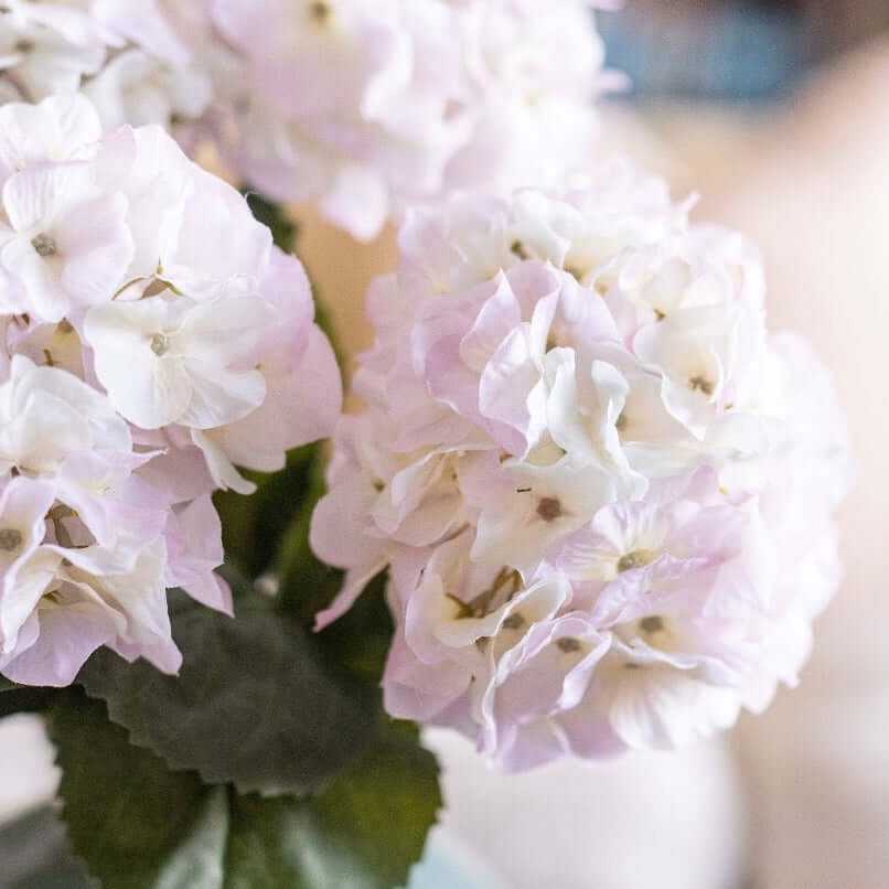 light purple flower close up