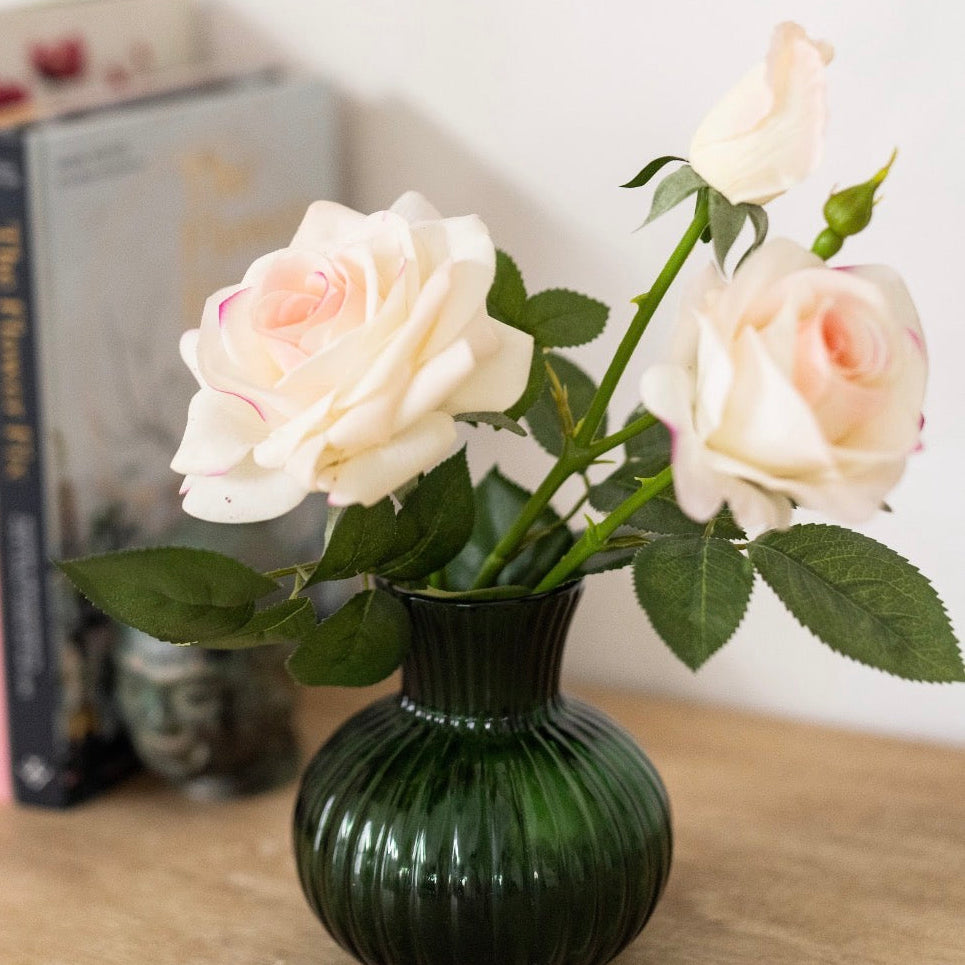 High quality rose