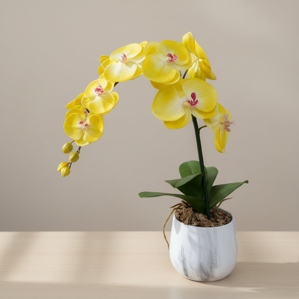 Yellow orchid on a desk