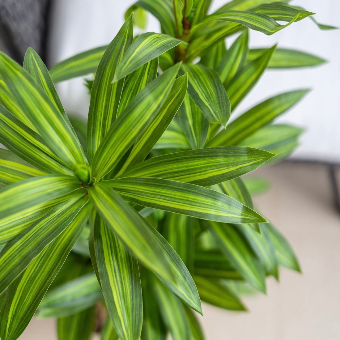 Artificial plant in brass pot