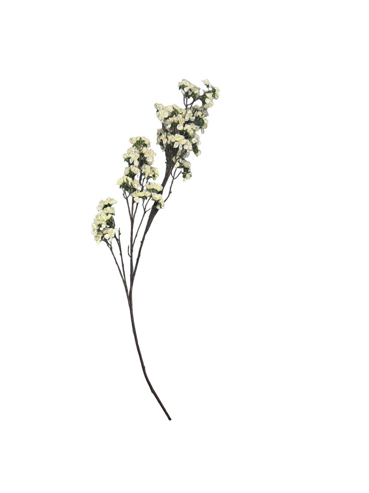 Long blossom stems
