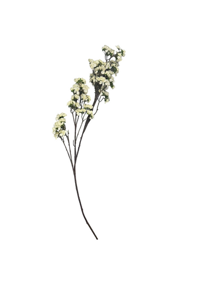 Long blossom stems