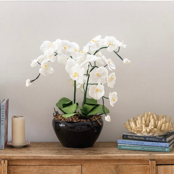 White &amp; Yellow Orchid - 3 stem arrangement