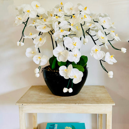 White &amp; Yellow Orchid - 7 stem arrangement