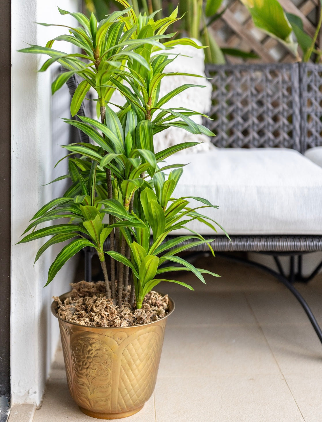 Artificial plant in brass pot