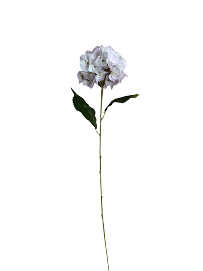 Light lilac hydrangea