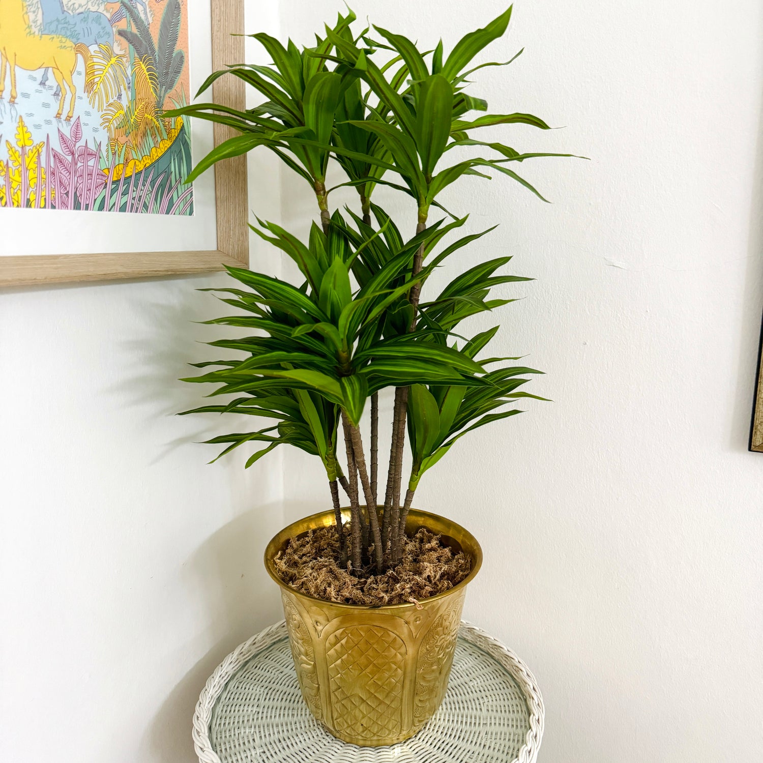 Artificial plant in brass pot