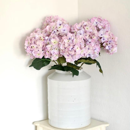French Hydrangea - Lilac