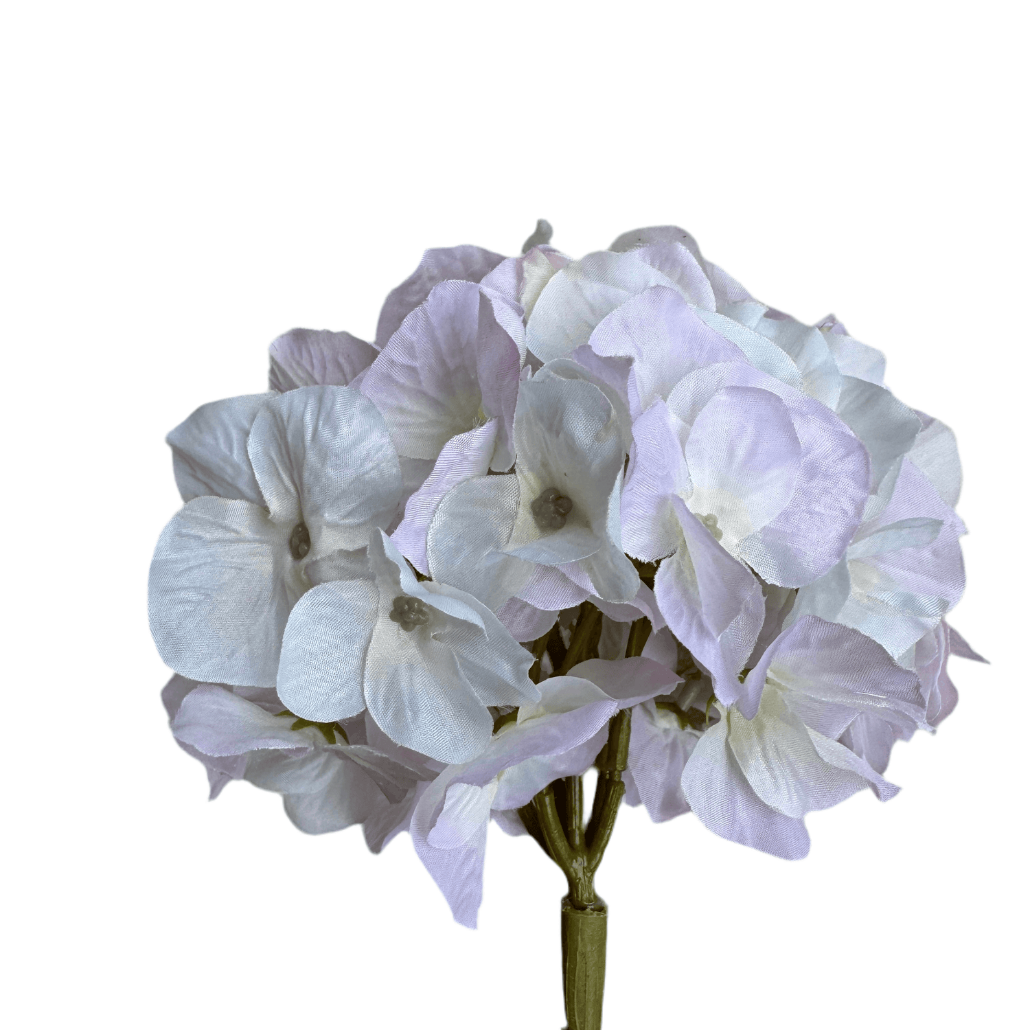 close up of light purple flower