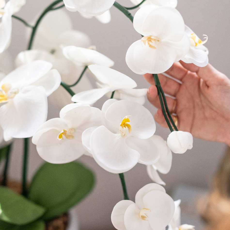White faux orchid