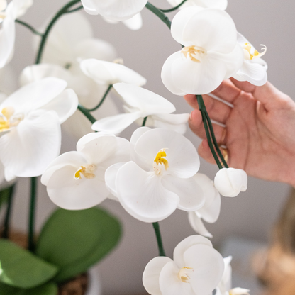 White faux orchid