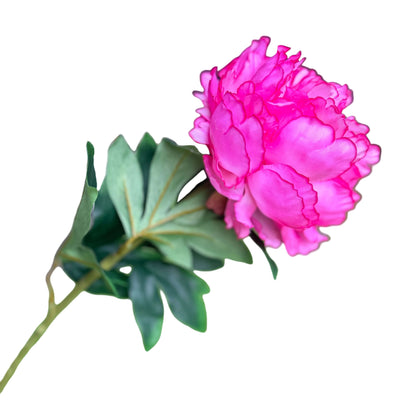 clear image of bright pink flower