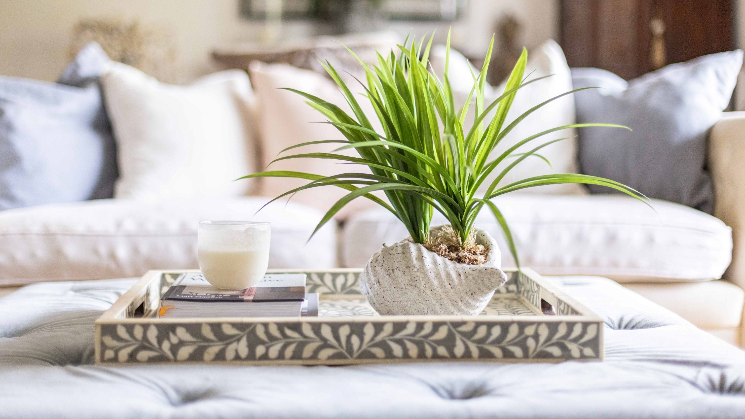 Living room featuring a plant and a cup, with a sofa in the background.