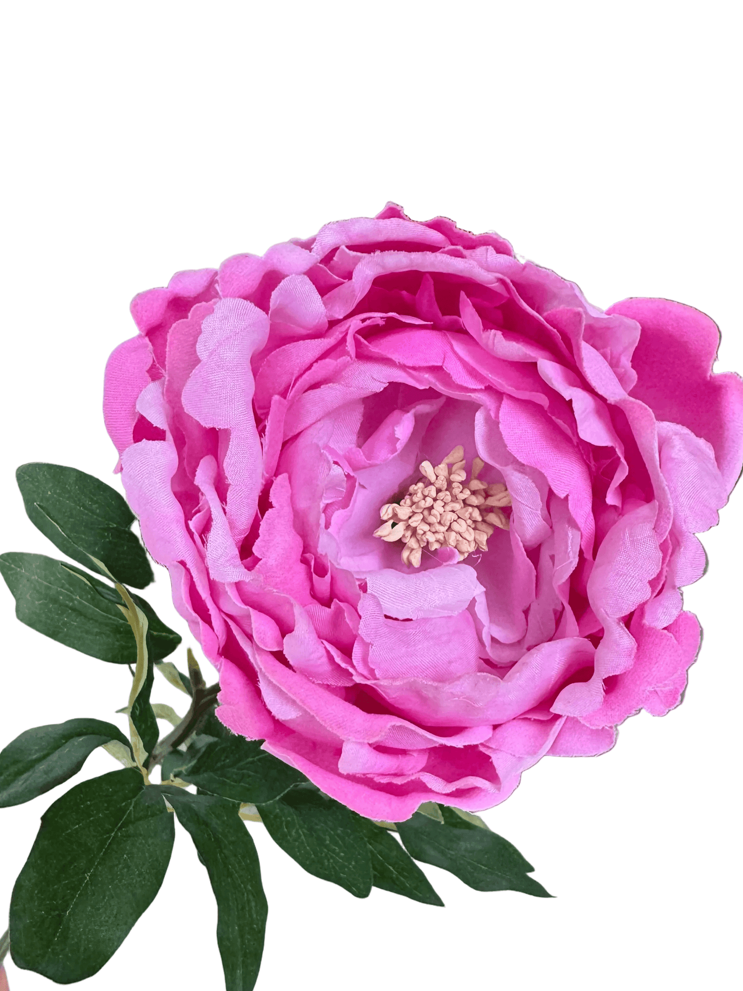 high quality peony pink flower