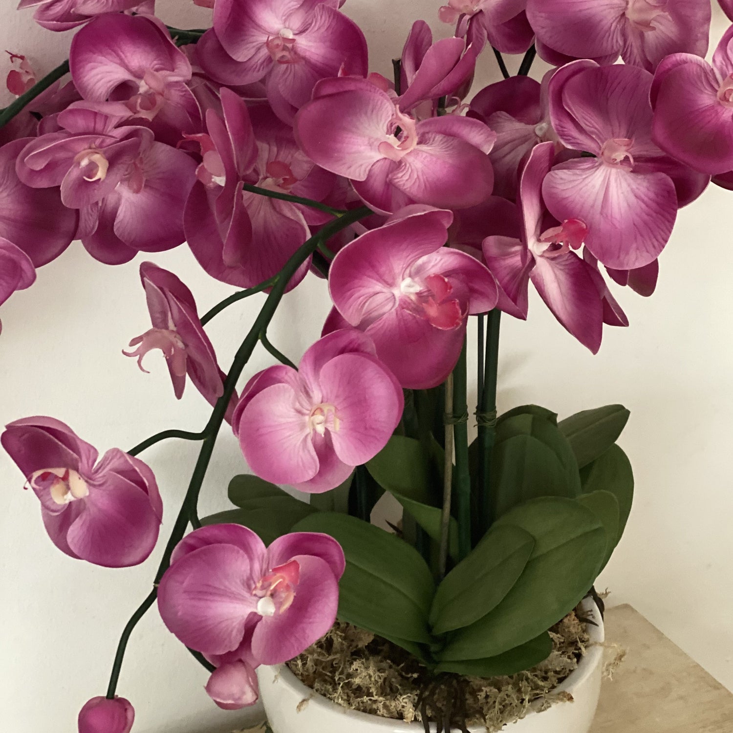 artificial orchid