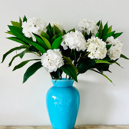 hydrangea and frangipani