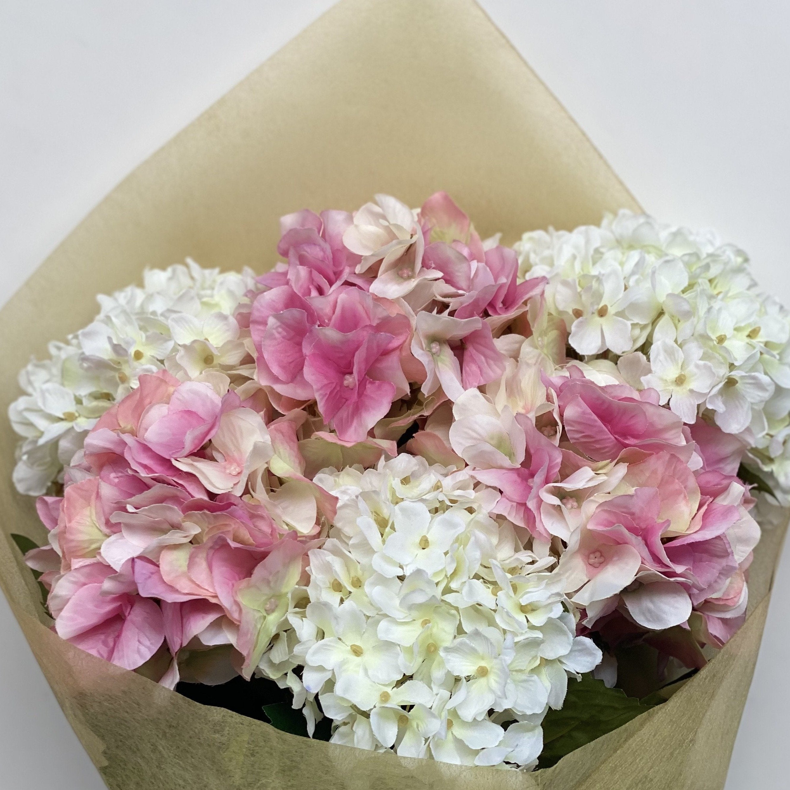 French Hydrangea - Cream Rose